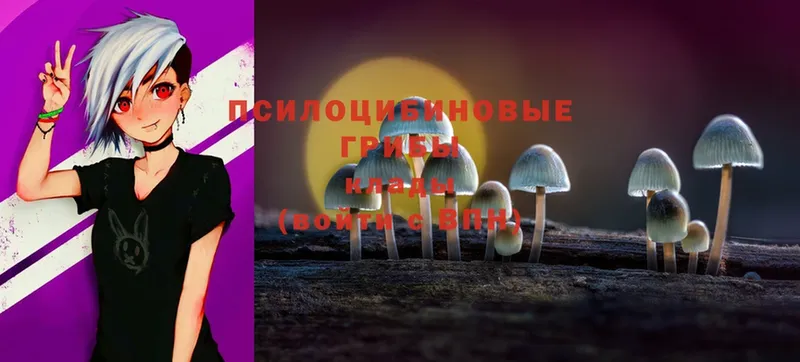 закладка  Болгар  Псилоцибиновые грибы Magic Shrooms 